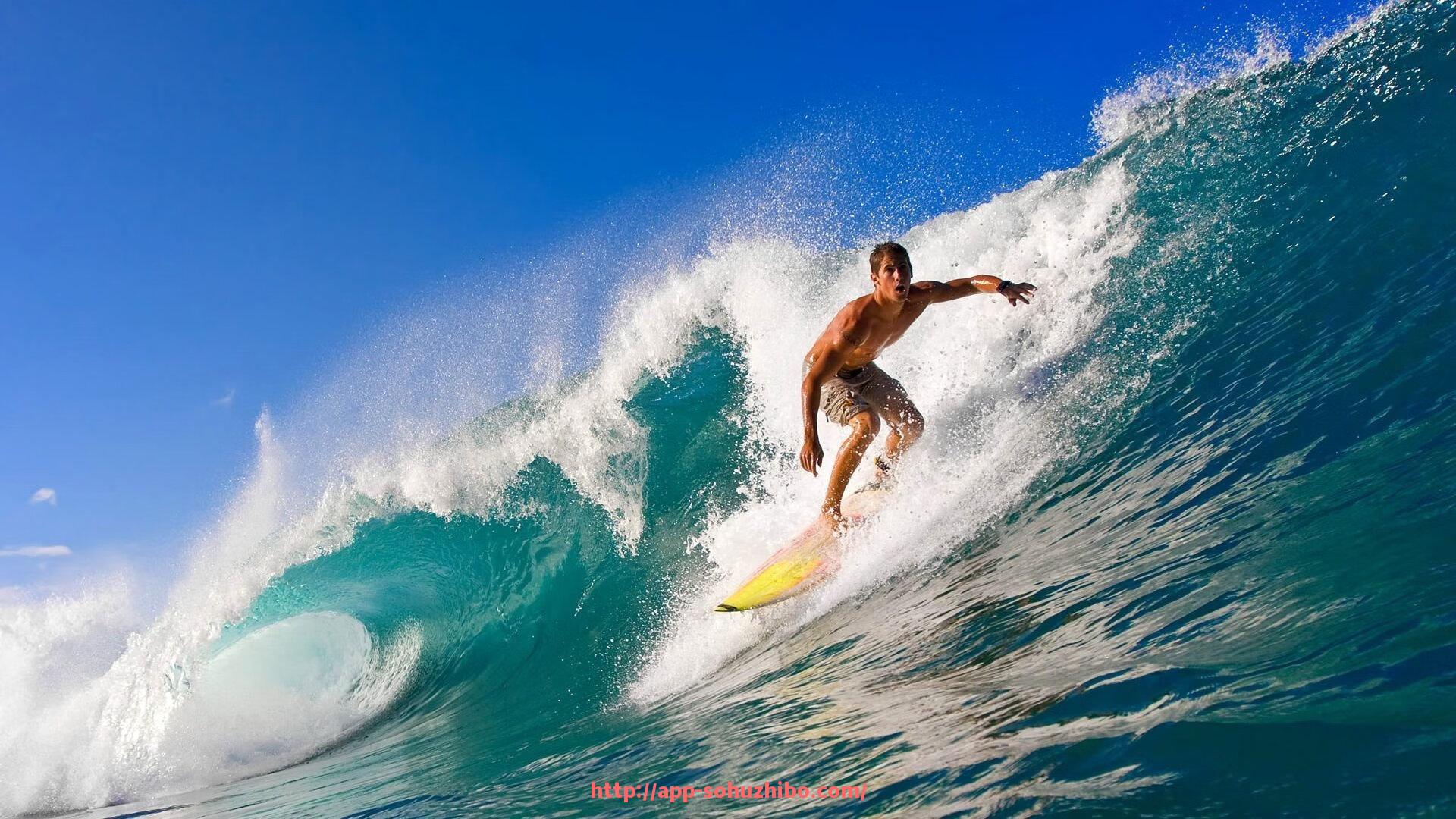 搜狐体育直播-新手如何认识健身房中的各类健身器材?